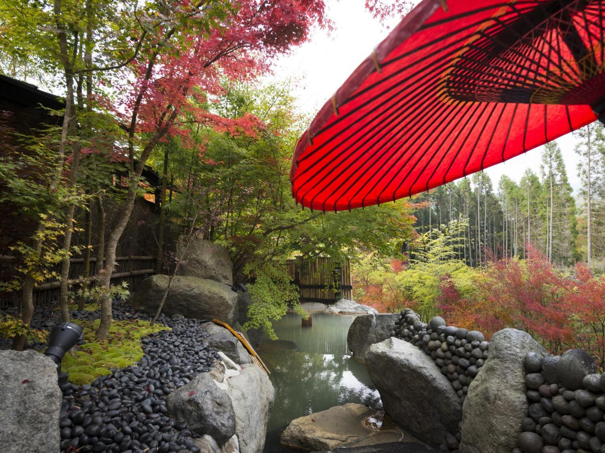 Hikyou Shirakawagensen Sansou Takefue Минамиогуни Экстерьер фото